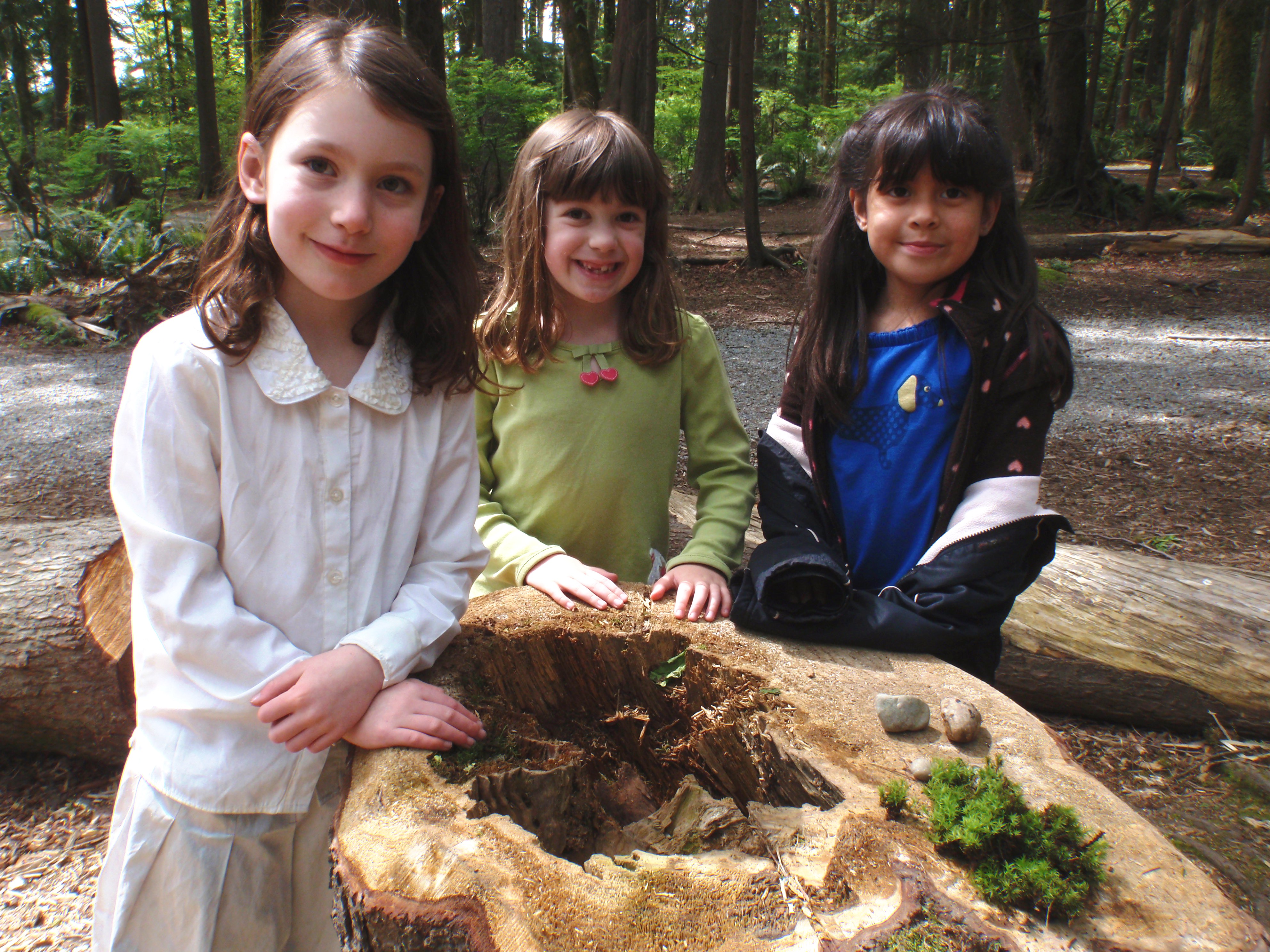 Sherwood Park Kids at stump in Nature